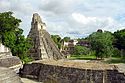 Tikal Giaguaro.jpg