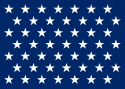 US Naval Jack 49 stars.svg