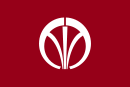 Símbolo de Iizuka