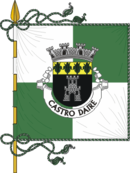 Bandera de Castro Daire