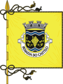 Bandera de Penalva do Castelo