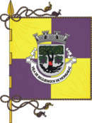 Bandera de Reguengos de Monsaraz