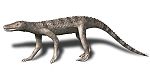 Dibothrosuchus BW.jpg