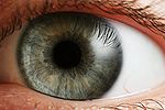 Eye iris.jpg