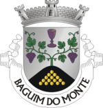 Escudo de la freguesía de Baguim do Monte