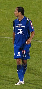Ivica Vrdoljak 2009.JPG