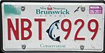 License Plate Nouveau Brunswick RMS.jpg