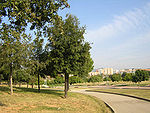 Parque Montigalà.jpg