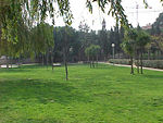Parque de Can Barriga.jpg