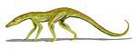 Terrestrisuchus BW.jpg