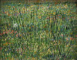 Van Gogh - Patch of grass.jpg