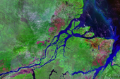Mouths of amazon geocover 1990.png