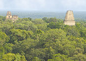 La antigua ciudad de Tikal (Guatemala) sirvió como escenario para la base rebelde en la luna Yavin.