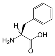 L-phenylalanine-skeletal.png