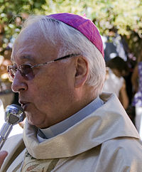 Ángel Rubio durante la Misa celebrada en la Romería de El Henar de 2010.