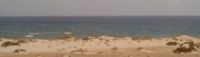 Desierto costero del mar Rojo