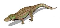 Anatosuchus.