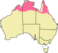 Distribución del walaró antílope