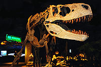 Appalachiosaurus.jpg