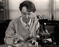 Barbara McClintock at C.S.H. 1947.jpg