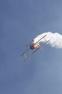 Biplane Acrobatics (253795455).jpg
