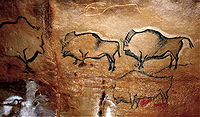 Bisontes de La Covaciella (España).jpg