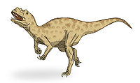 Ceratosaurus sketch2.jpg