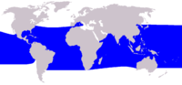 Habitat de la orca pigmea