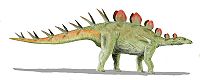 Chialingosaurus BW.jpg
