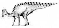 Corythosaurus2.jpg