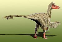 Dromaeosaurus BW.jpg