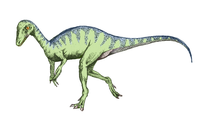 Eopraptor sketch5.png