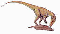 Herrerasaurus DB.jpg