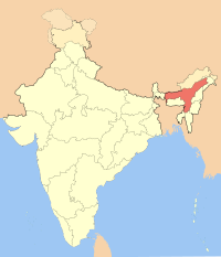 Ubicación del estado de Assam dentro de la India, uno de los lugares donde se pueden encontrar ejemplares de 'Lycodon fasciatus'.