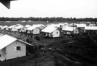 Jonestown Houses.jpg