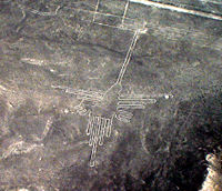 Lignes de Nazca Décembre 2006 - Colibri 2.jpg