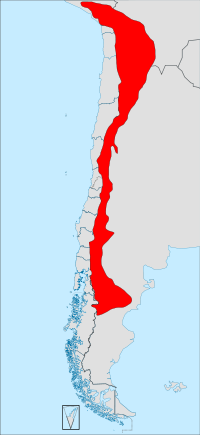 Ubicación de la especie en Perú, Bolivia, Chile y Argentina, según datos de la IUCN