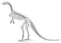 Marsh laosaurus.jpg