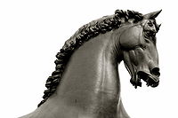 Detalle de la cabeza del caballo. 38°53′40″N 77°0′37″O﻿ / ﻿38.89444, -77.01028