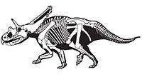 Mojoceratops.jpg