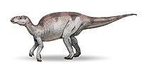 Probactrosaurus v3.jpg