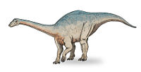 Riojasaurus sketch3.jpg