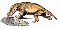Scylacosuchus DB.jpg