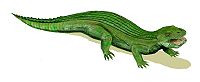 Simosuchus.