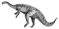 Sketch plateosaurus.jpg