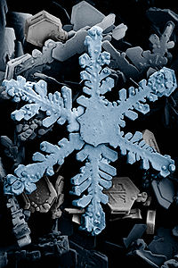 Cristales de nieve vistos con un microscopio electrónico de barrido
