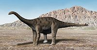Spinophorosaurus NT.jpg