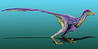 Tianyuraptor NT.jpg