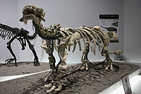Tianzhenosaurus.jpg