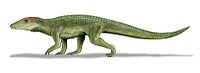 Uruguaysuchus.